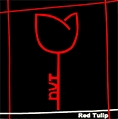 Red Tulip – neuro-vývojová terapie