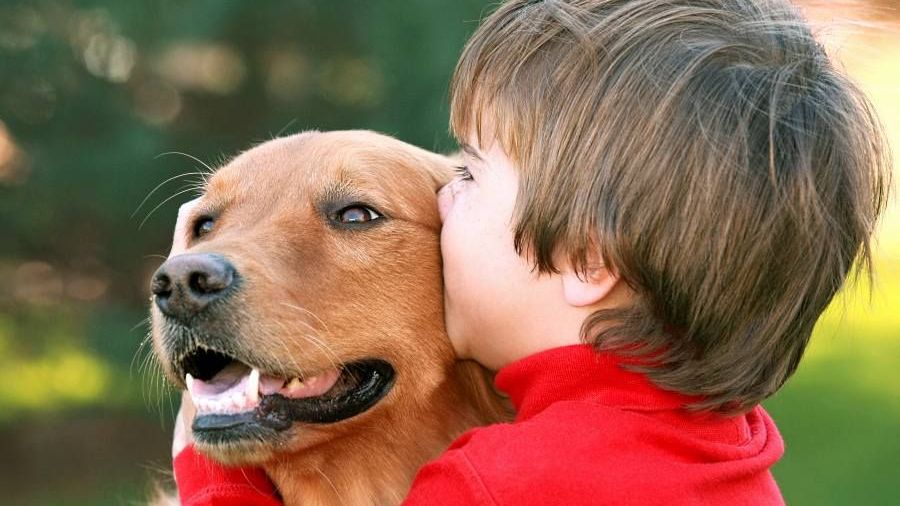Léčba psí láskou: Co je canisterapie a jak přesně funguje?